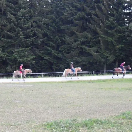 Kitting Сasa de vacaciones *