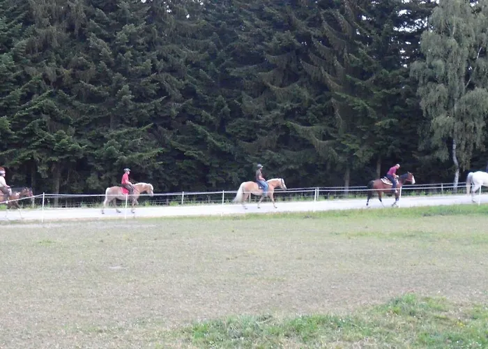 Kitting Prázdninový dům *